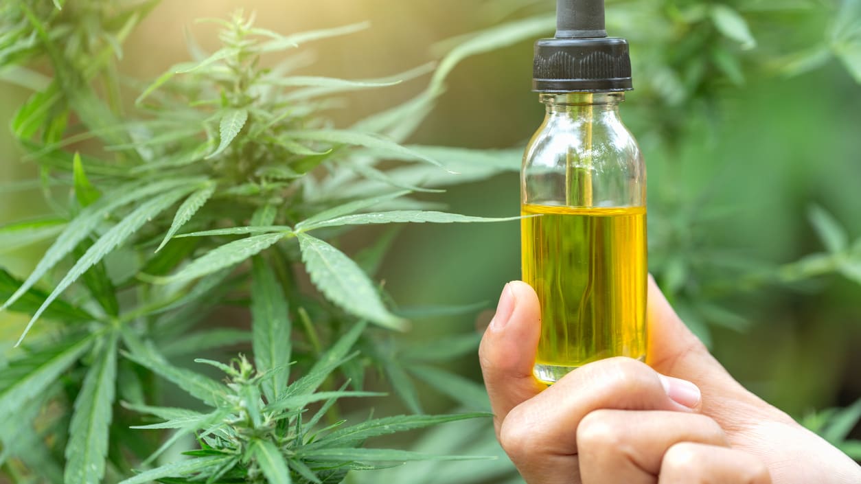 Purchase CBD Oil Canada